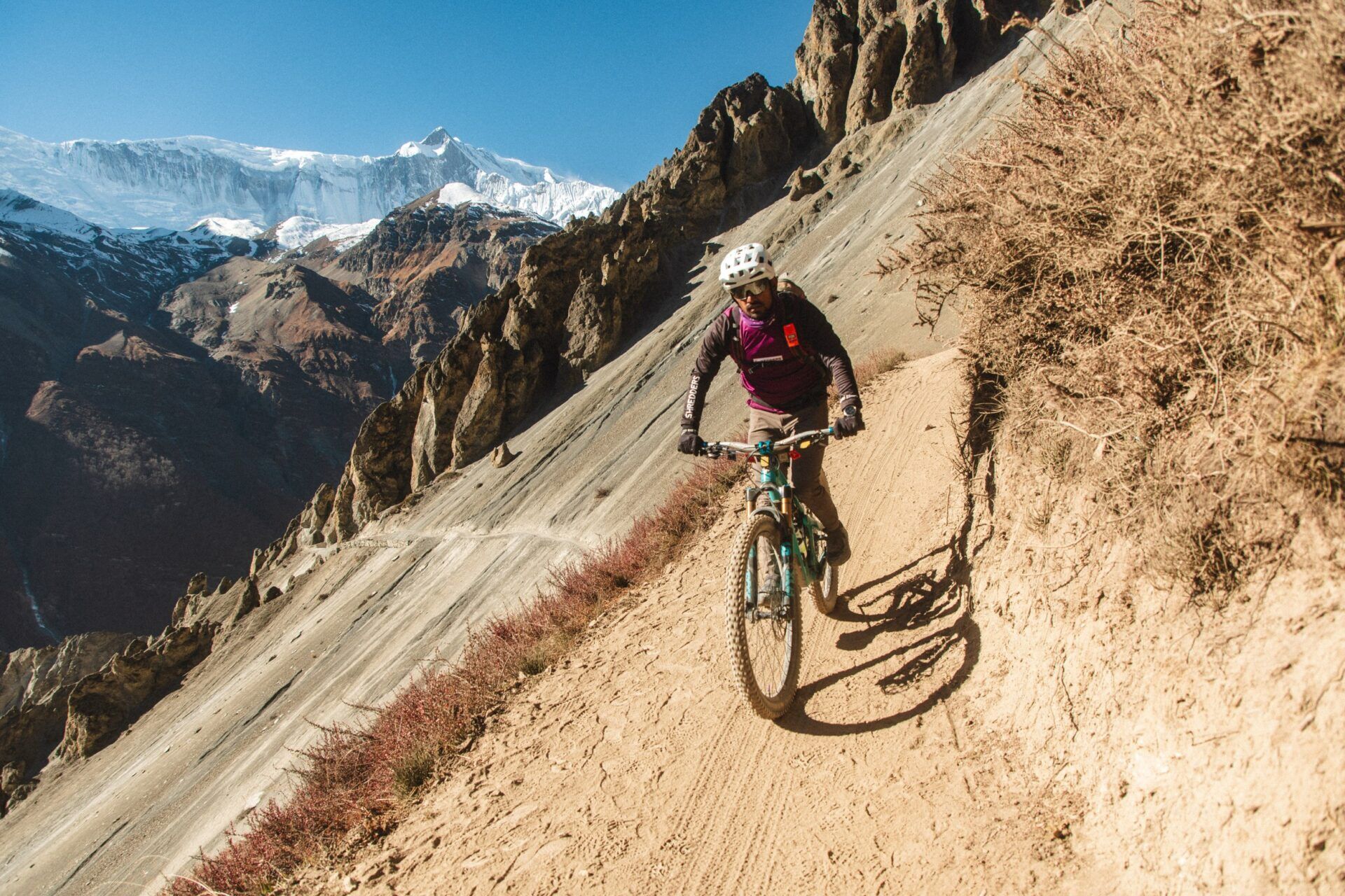 Mustang MTB